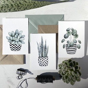 Cartes postales PLANTES EN POT Set de 3 A6, Succulent, Snakeplant, Pilea Aquarelle/Aquarelle