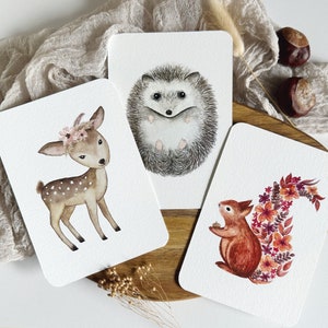 WALDTIERE 3erSet // A6-Postkarte FineArt mit Kuvert