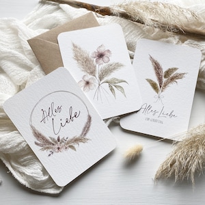 Set di 3 cartoline PAMPAS A6 con busta