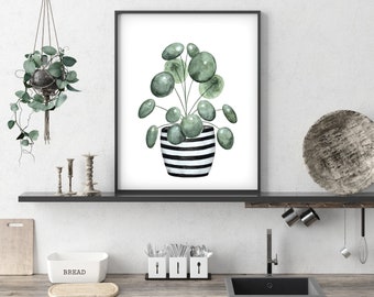 Pilea, aquarelle ART/affiche imprimée d’art, aquarelle/aquarelle, plante en pot succulente, plante serpent