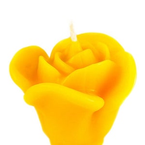 5 Bienenwachskerzen Rosenset von Hand gefertigt goldgelb 100% Naturkerzen Höhe 5cm Druchmesser ca. 6,5cm Brenndauer ca. 6h pro Kerze Bild 3
