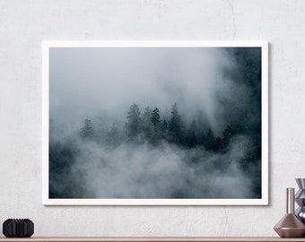 May include: A framed photograph of a misty forest with tall trees silhouetted against the fog. The photograph is hanging on a white wall above a wooden cabinet with a lamp and decorative objects on top.
