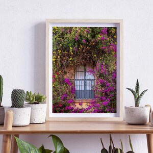 Querétaro, Mexico, a pretty window on a Wall with flowers, Photography, Wall Art, Print, Digital Download