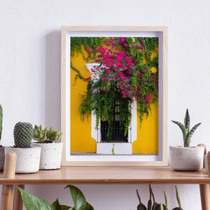 Oaxaca de Juárez, Mexico, Window on a Yellow Wall with Pink Roses, Photography, Wall Art, Print, Digital Download