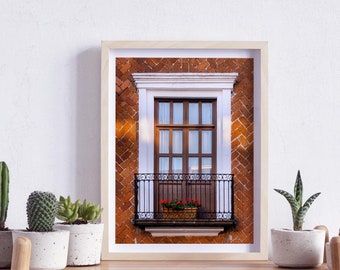 Puebla, Mexico, Window on a Bricks Wall with Red Flowers, Photography, Wall Art, Print, Digital Download