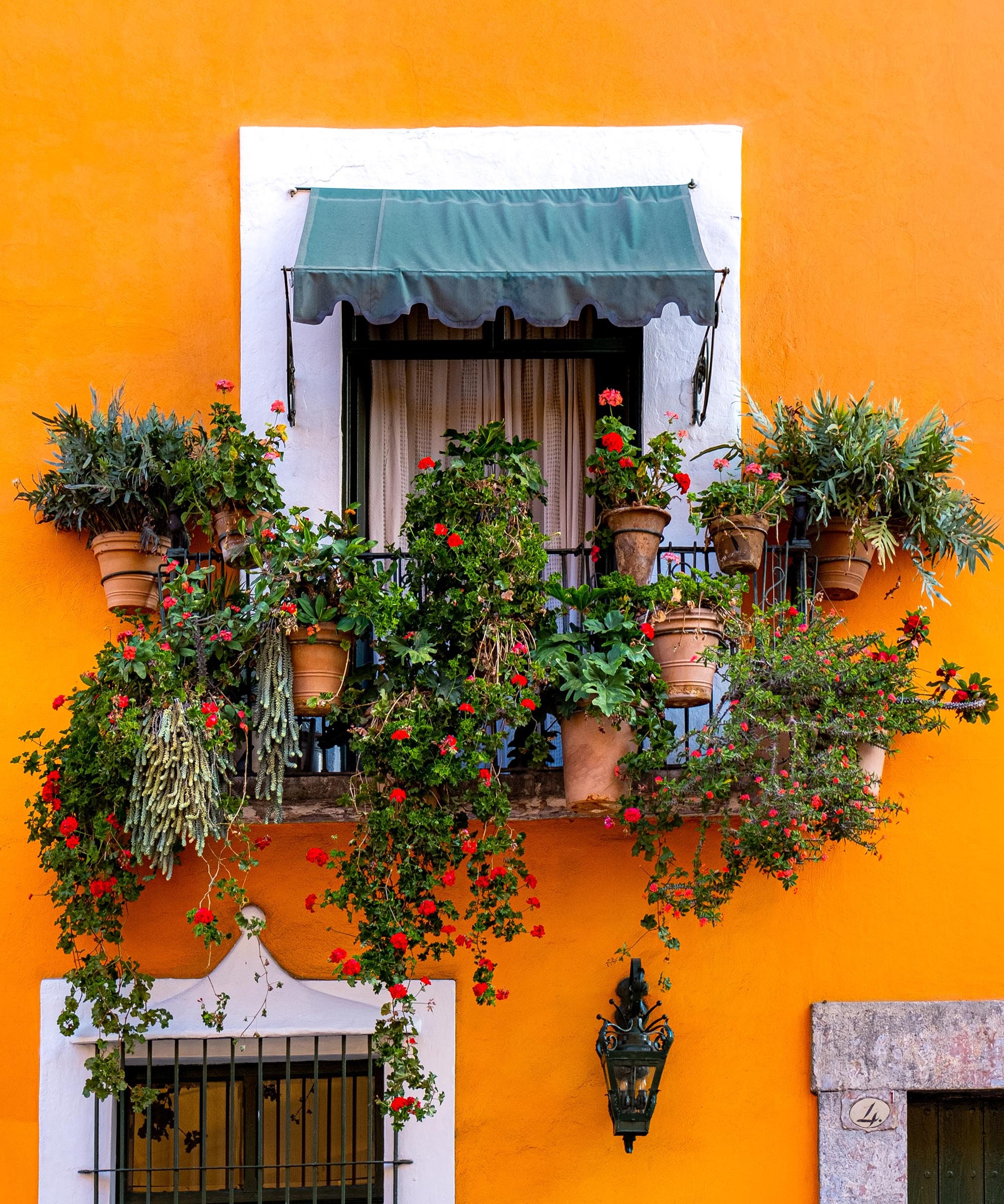 Windows In Mexico Puebla Mexico Window on a Orange Wall With Red Flowers - Etsy