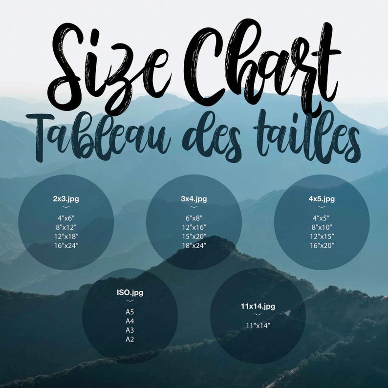 May include: A size chart for prints, showing different sizes in inches. The chart includes sizes for 2x3, 3x4, 4x5, and 11x14 prints. It also includes sizes for ISO paper sizes A5, A4, A3, and A2.