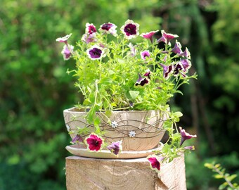 Pflanzschale 28 margerit weiß, Blumenschale Keramik, Übertopf, Keramikschale