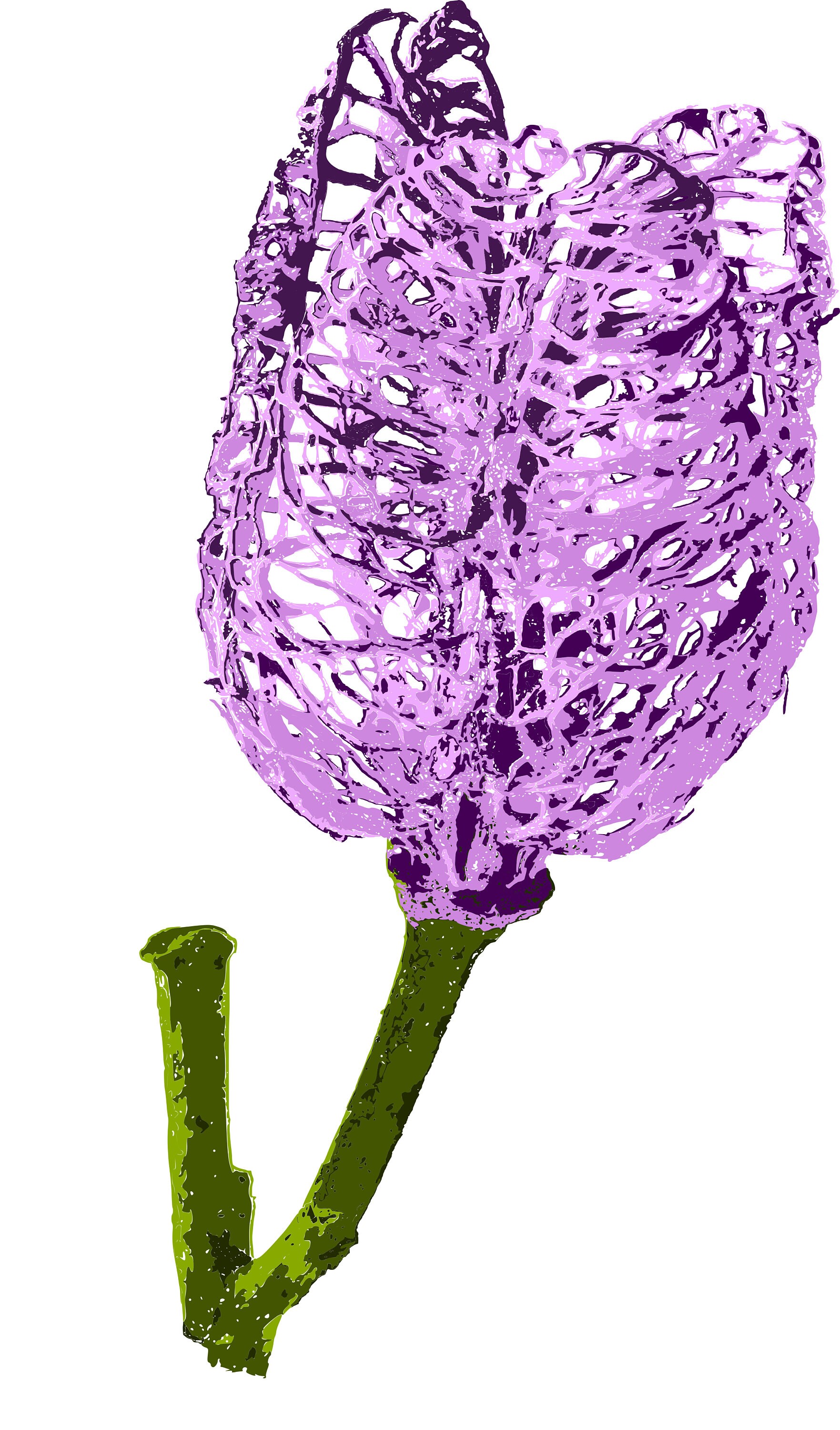 Purple Tulip Wall Art Instant Printable File Download Etsy