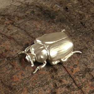 Può includere: Una statuetta a forma di scarabeo color argento con ali e zampe dettagliate. Lo scarabeo è appoggiato su una superficie di legno marrone strutturata. La statuetta ha una finitura metallica lucida ed è una rappresentazione dettagliata dell'insetto.