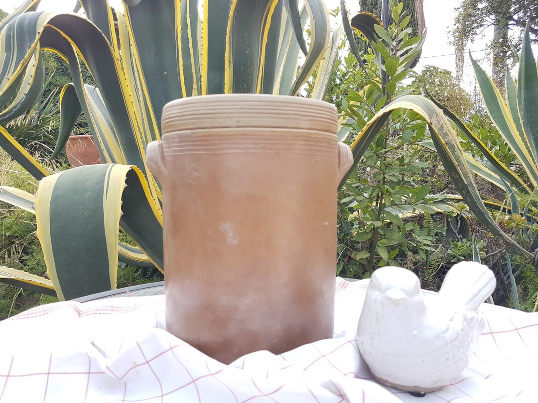 Huge French Stoneware Canister/container With Lid for Confit/olives ...