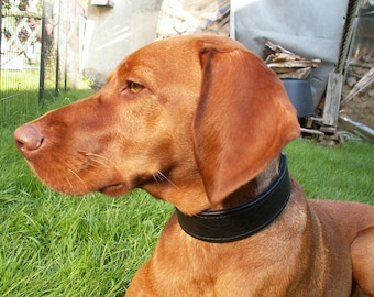 Noble soft leather collar not only for greyhounds / ~ 40 cm neck circumference / vegetable tanned German leather / solid brass fittings