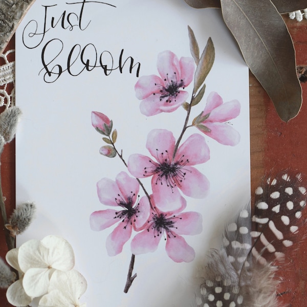 Just bloom - Cherry Blossom Postcard