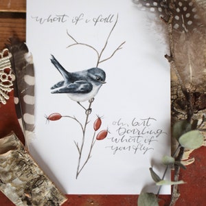 Et si je tombe? - Oh mais ma chérie, et si tu volais? - Carte postale d’oiseau