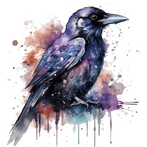Può includere: Un dipinto ad acquerello di un corvo con uno schema di colori viola e blu. Il corvo è appollaiato su un ramo con uno sfondo di schizzi ad acquerello in tonalità di viola, blu e arancione.