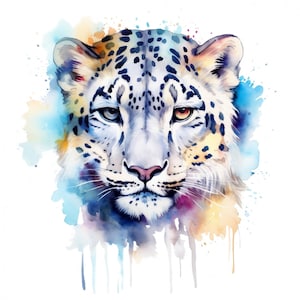 Peut inclure: Peinture à l'aquarelle d'un visage de léopard des neiges avec des éclaboussures de peinture bleue, jaune et orange en arrière-plan.
