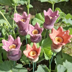 Könnte beinhalten: Eine Ansammlung von fünf blumenförmigen Gartensteckern aus Keramik in Lila- und Korallentönen. Jedes Stück hat eine glänzende Oberfläche, einen ausgestellten, blütenblattartigen Rand und ein gelbes, strukturiertes Detail in der Mitte.