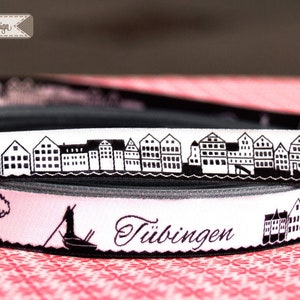 ribbon: Tübingen skyline image 1