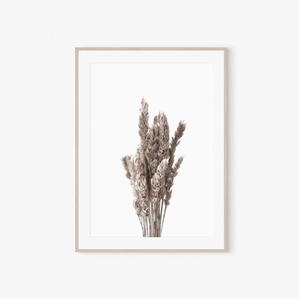 Botanical Print, Dried Lagurus Grass, Home Wall Decor, Digital Print, Bunny Tails, Printable Wall Art, Neutral Wild Flower, Farmhouse Prints