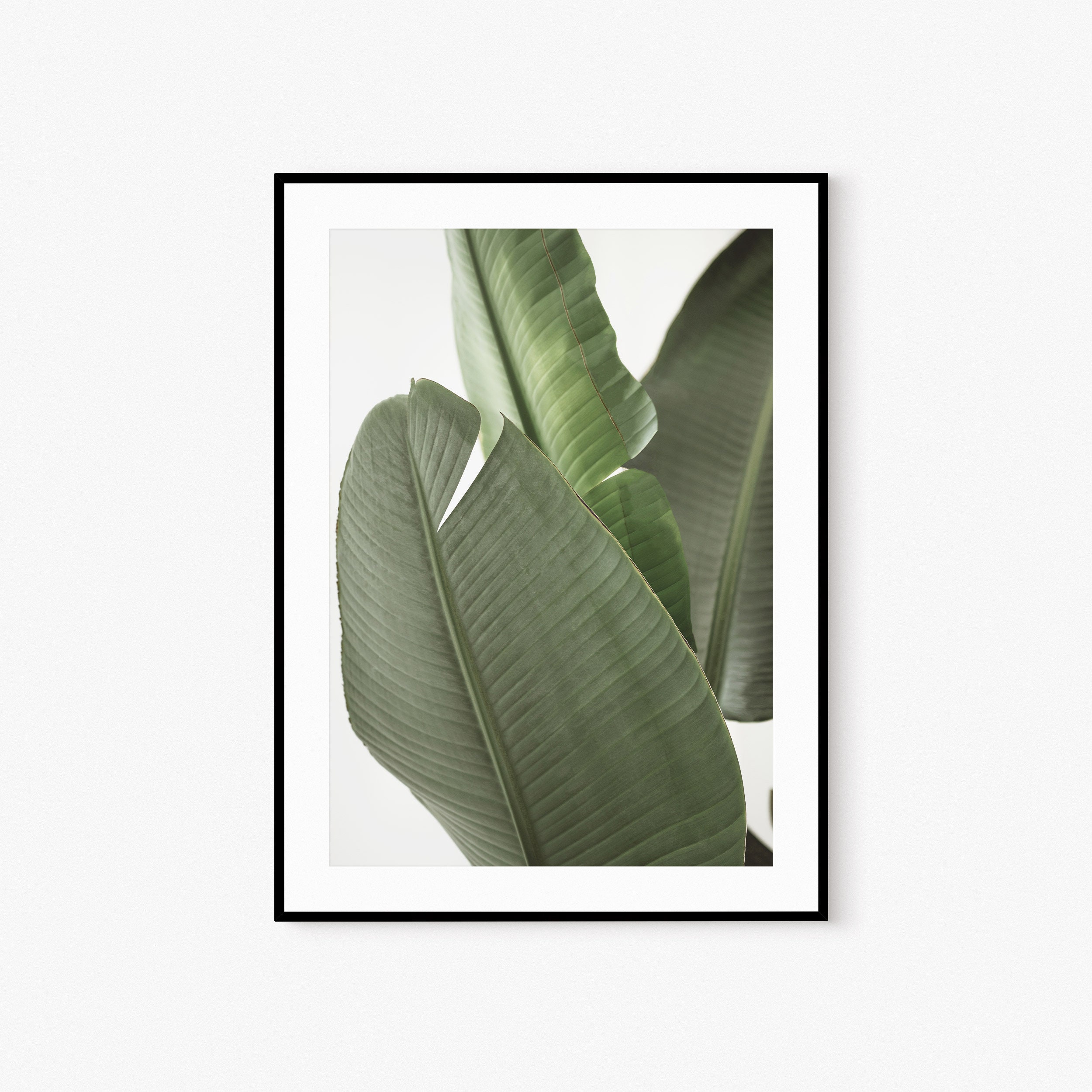 Tropical Print Palm Leaf Print Digital Print Banana Leaf - Etsy