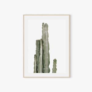 Kaktus Print Wandkunst, Digitaldrucke, Kaktus Poster, Kaktus Drucke, Wüste Wandkunst, druckbare Wandkunst, Poster, minimalistische Fotografie