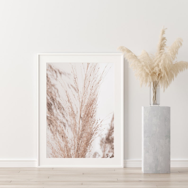 Pampas Grass Wall Art Digital Prints Pampas Grass Photo Etsy