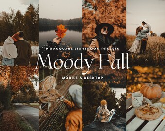 10 MOODY FALL Lightroom Mobile & Desktop Presets, Autumn Presets, Warm Fall Photo, Aesthetic Blogger Earthy Nature, Vsco Instagram filter