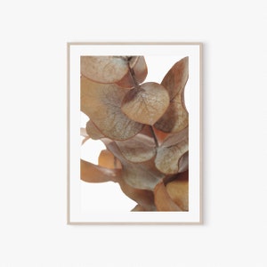 Botanical Print, Home Wall Decor, Digital Print, Printable Wall Art, Wild Flower, Wall art prints, Nature, Modern Boho Art Floral Print