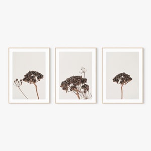 Print Set of 3, Dried Flowers Art, Set of 3 Wall Art, Digital Prints, Printable Art, Botanical Print, Neutral Wild Flower, Minimalist Photo,