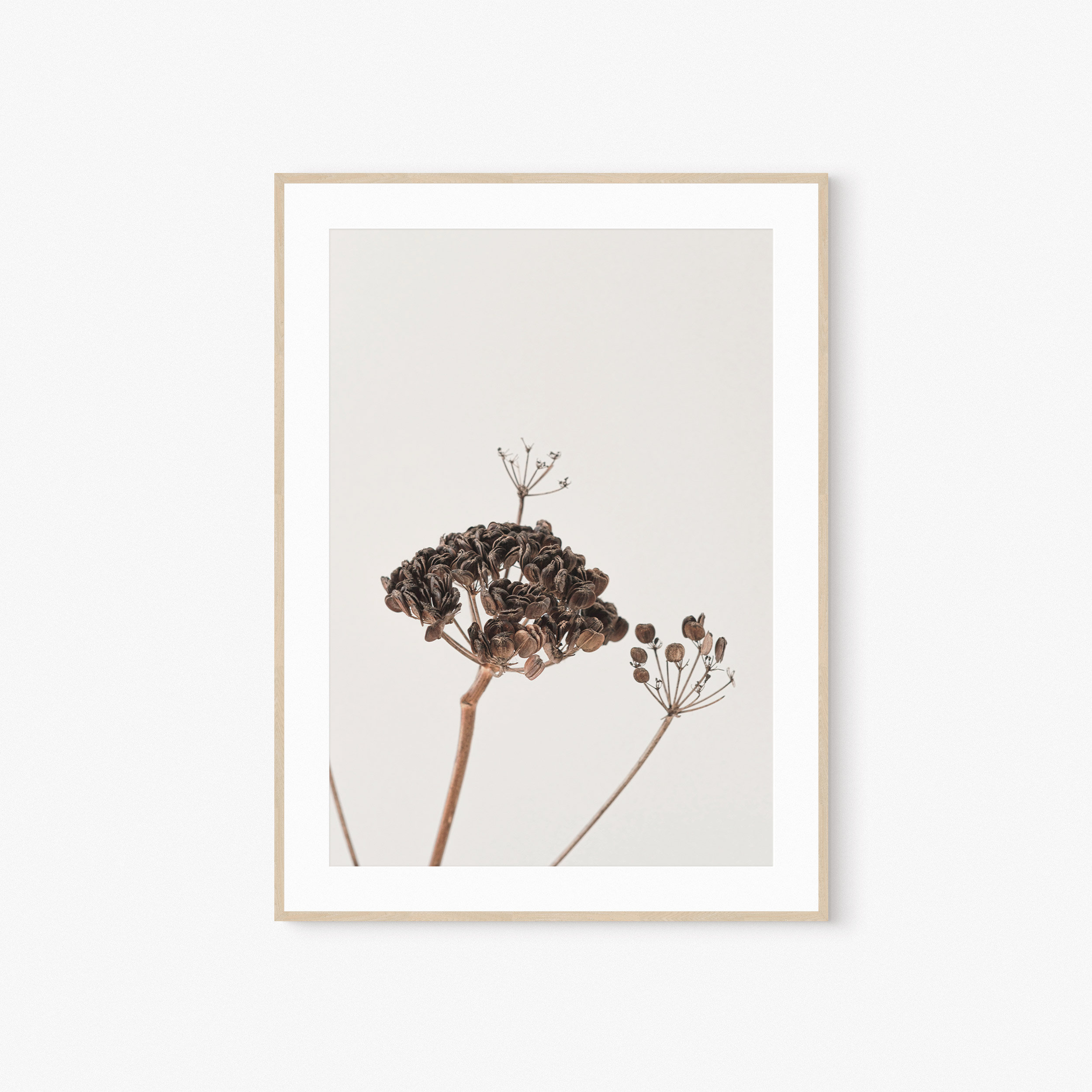 Dried Flowers Art, Botanical Print, Print Wall Art, Digital Print, Printable Wall Art, Neutral Wild Flower Print, Minimalist Print