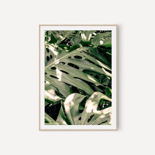 Monstera Leaf Wall Art, Wall Art, Digital Prints, Monstera Photo, Green Leaf, Tropical Wall Art, Printable Wall Art, Neutral Photography