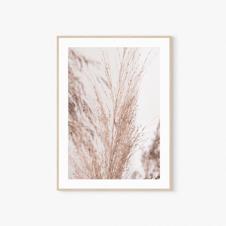 Pampas Grass Wall Art Digital Prints Pampas Grass Photo Etsy