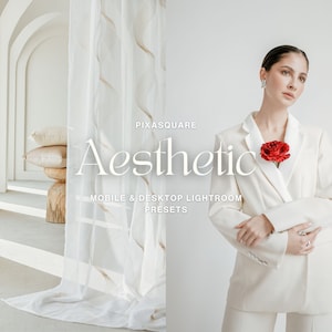 Aesthetic Neutral Lightroom Mobile & Desktop Presets, Blogger Presets, Moody Presets, Beige Presets, Instagram Filter, Influencer Presets