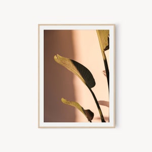 Tropical Palm Leaf Wall Art, Digital Prints, Banana Leaf Print, Shadow, Tropical Wall Art, Printable Wall Art, Minimal Neutral Photography