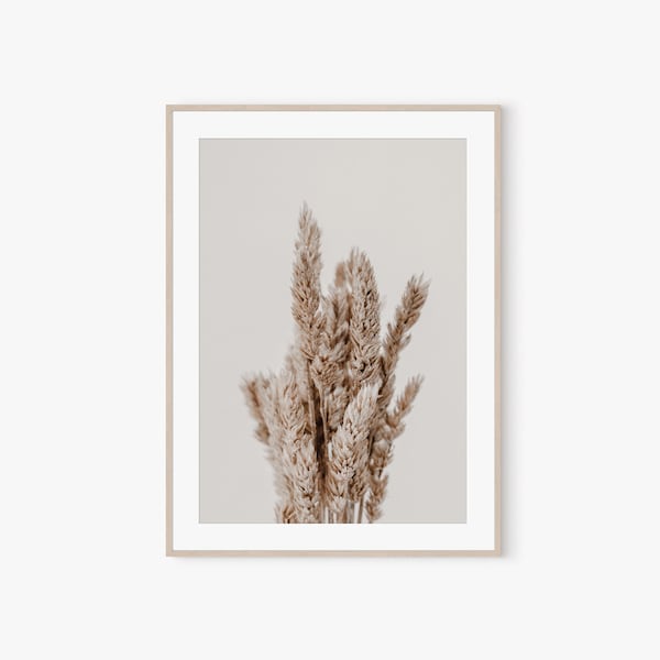 Botanische Druck, getrocknete Lagurus Gras, Home-Wand-Dekor, Digitaldruck, Hase Schwänze, druckbare Wandkunst, neutrale wilde Blume, Bauernhaus Drucke