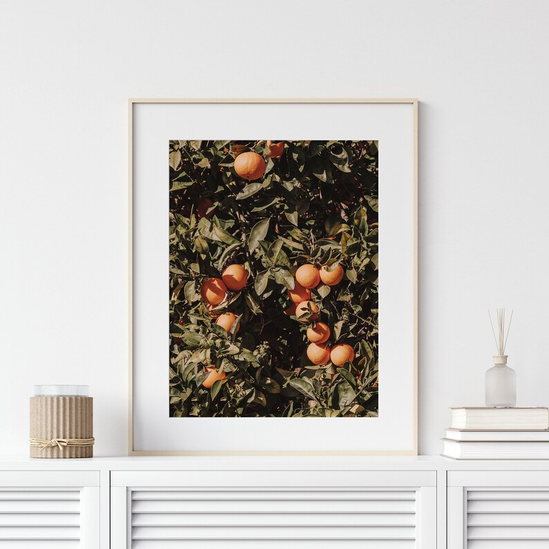 Orange Fruit Fruit Wall Decor Orange Tree Wall Art Print Etsy