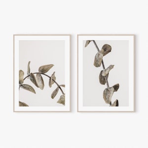 Set von 2 Prints, Eukalyptus Blätter, Eukalyptus Wandkunst, Botanische Wandkunst, Eukalyptus Blätter, Wand Dekoration, Digitaldrucke,