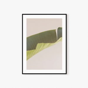Tropical Print, Palm Leaf Print, Digital Print, Banana Leaf Print, Large Wall Art, Tropical Wall Art, Printable Wall Art, Minimalist Photo