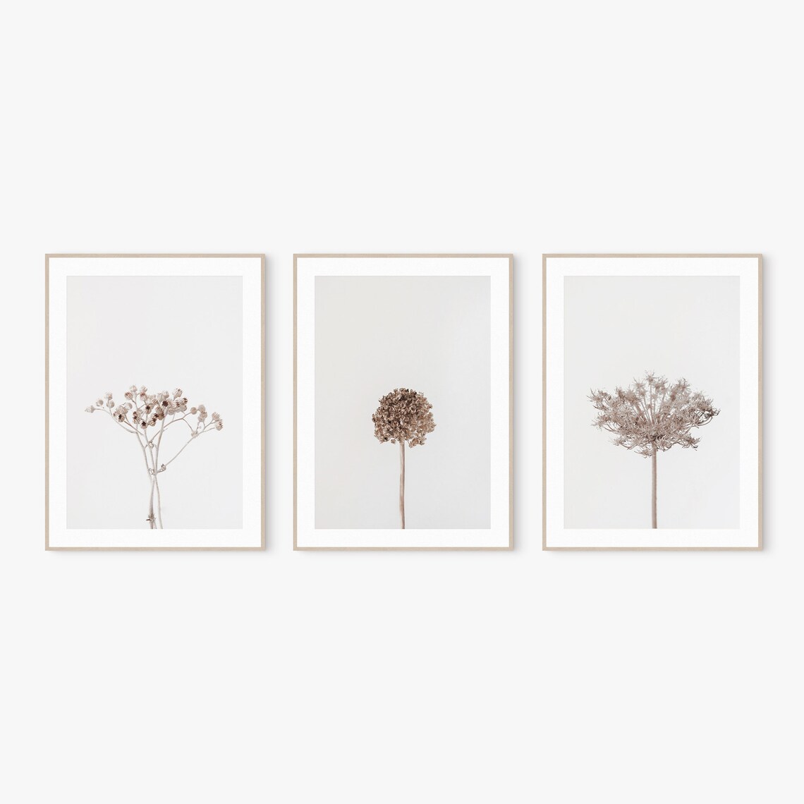 Set of 3 Prints Wall Art Farmhouse Prints Printable Dried | Etsy