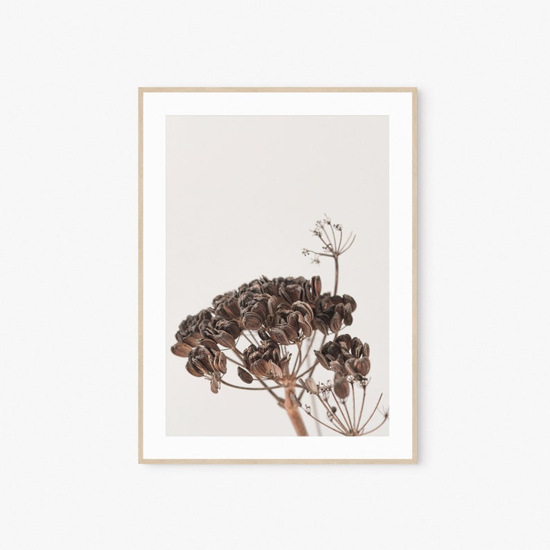 Dried Flowers Art Botanical Print Print Wall Art Digital Etsy