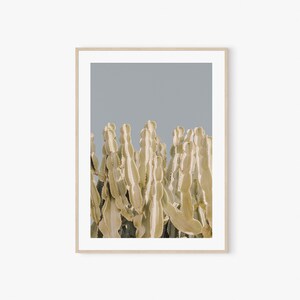 Kaktus Print Wandkunst, Digitaldrucke, Kaktus Poster, Kaktus Drucke, Wüste Wandkunst, druckbare Wandkunst, Poster, Wand-Dekor, Fotografie