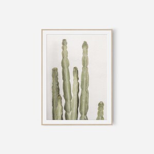 Kaktus Print Wandkunst, Digitaldrucke, Kaktus Poster, Kaktus Drucke, Tropisches Dekor, druckbare Wandkunst, minimale neutrale Fotografie