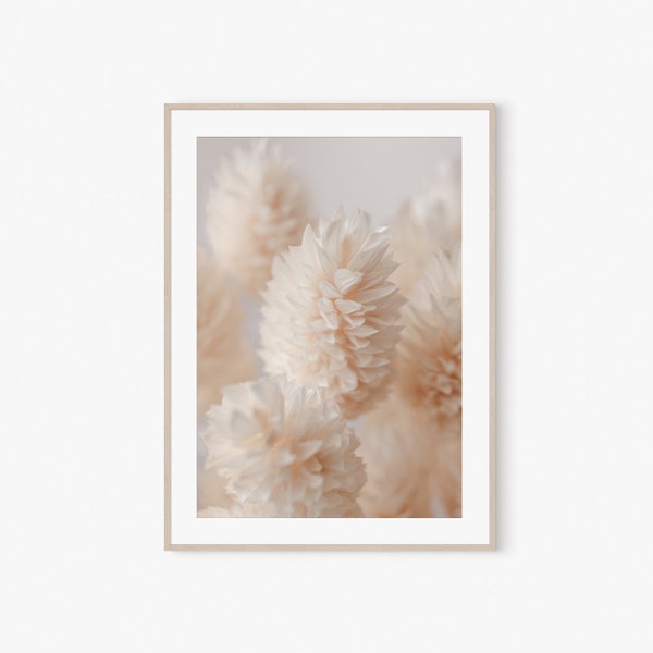 Botanical Print, Dried Lagurus Grass, Home Wall Decor, Digital Print, Bunny Tails, Printable Wall Art, Neutral Wild Flower, Farmhouse Prints