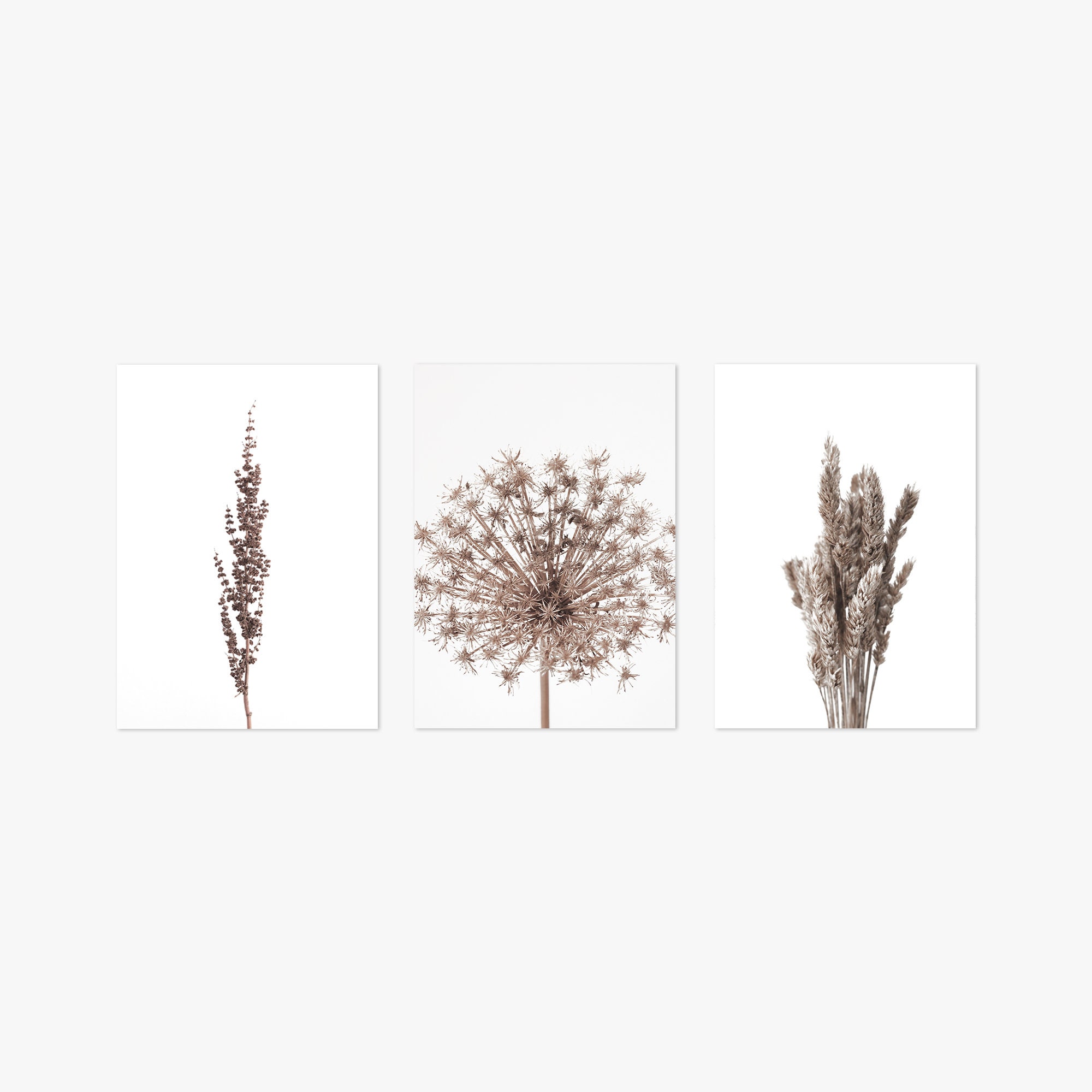 Set of 3 Prints Wall Art Prints Set of Prints Botanical | Etsy