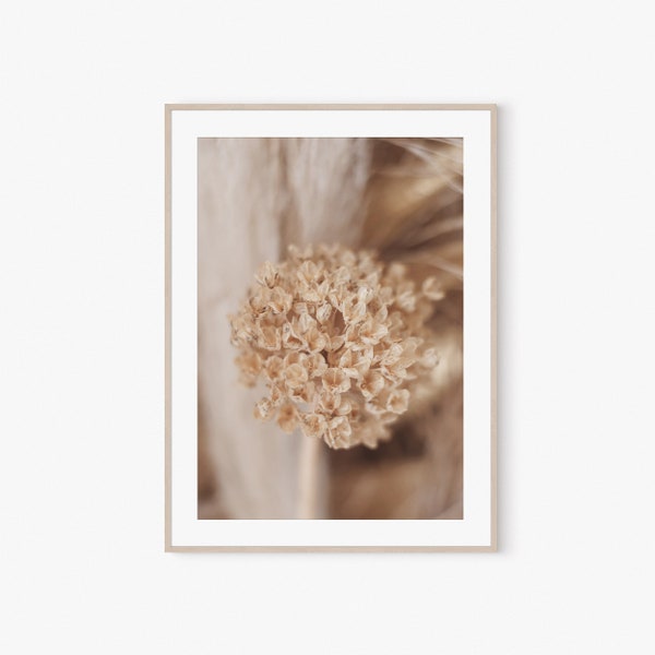 Farmhouse Wall Art, Farmhouse Prints, Farm House Decor, Farmhouse Decor, Printable Wall Art, Dried Flowers, Farm Home Decor, Macro Photo