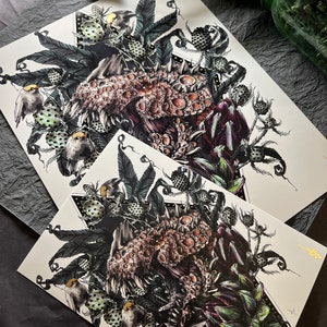 May include: Two black and white illustrations of a monstrous creature with sharp teeth and a textured skin. The creature is surrounded by detailed foliage, flowers, and other organic elements. The illustrations are printed on white paper.