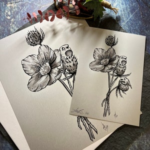 ZIG sketch limited prints