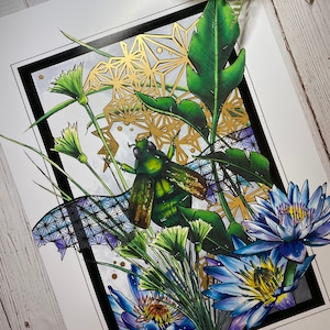 Scarab large print