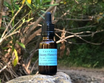 Puede incluir: Un pequeño frasco de vidrio marrón con un gotero negro en la parte superior. El frasco está etiquetado como "Casa da Luz Chicory Flower Remedy" e incluye el texto "'Tu amo incondicionalmente' 'I love unconditionally'".