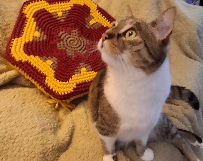 Cat bed